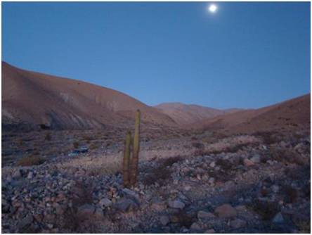 Sector Parca-Punaya, pre-cordillera región de Tarapacá