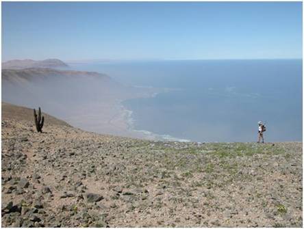 Sector Punta Lobos, costa región de Tarapacá